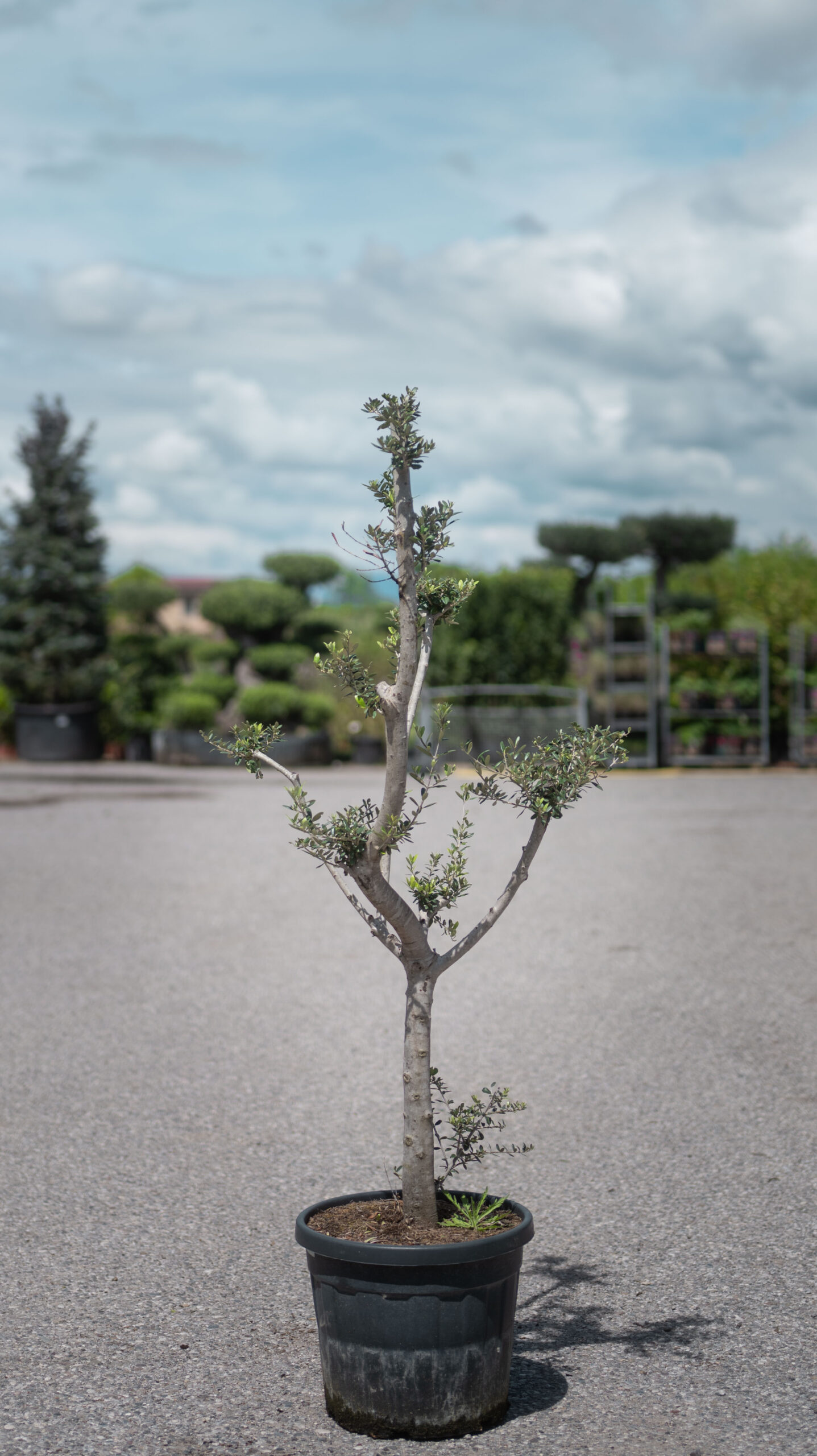 P1023720